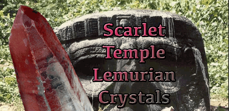 see the new scarlet temple lemurians