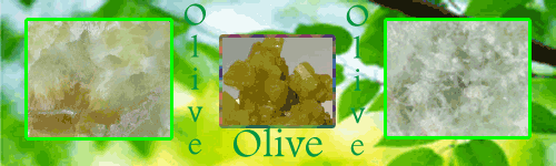 Olive Explained