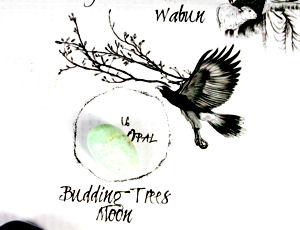 Budding Trees Moon Crystal on Medicine Wheel Budding Trees Moon Crystal on Medicine Wheel