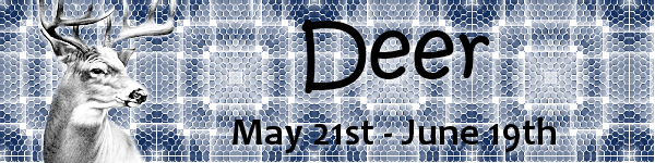 Deer Moon Deer Moon