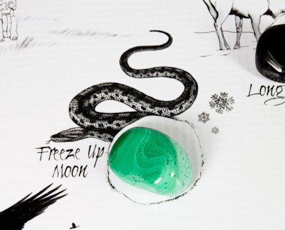 Snake Snake