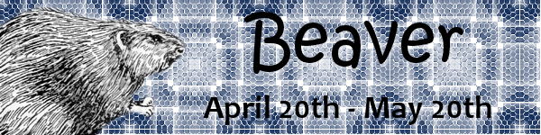 Beaver Moon Beaver Moon