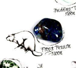 Working Hard Frogs Return Moon Crystal on the Medicine Wheel