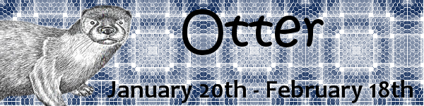 Otter Moon Otter Moon