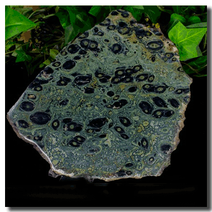 Stromatolite Fossil Natural Tumbled Stone Crystal Healing World Oldest Xlarge