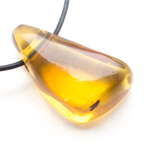 Amber Pendant-79984