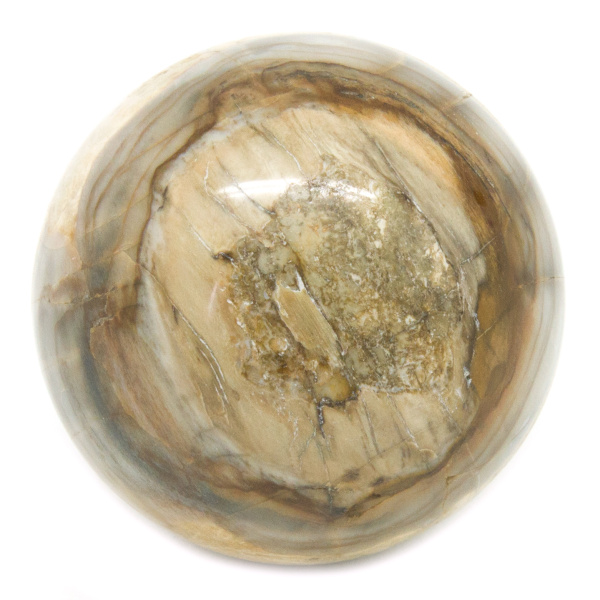 Petrified Wood Sphere(35-45mm)-0