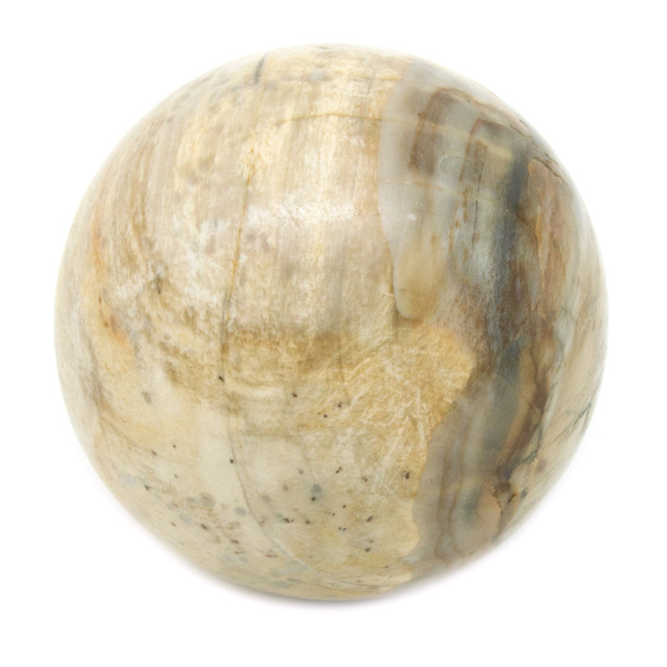 Petrified Wood Sphere(35-45mm)-67478