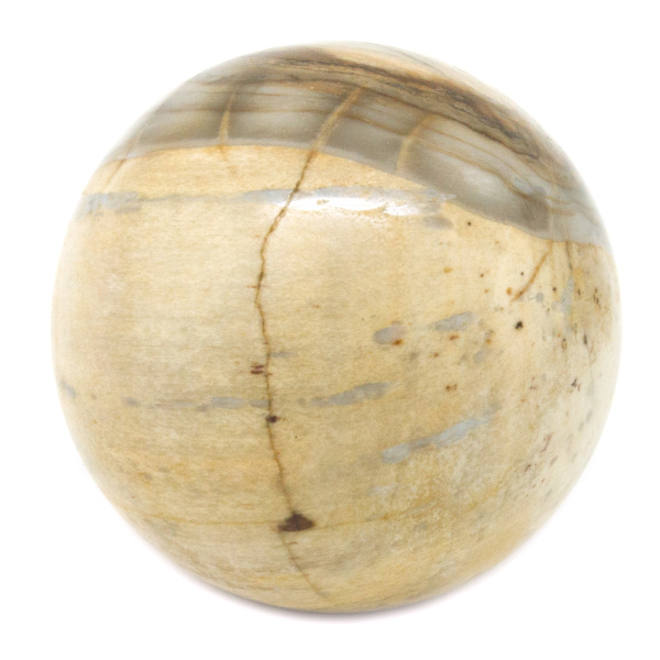 Petrified Wood Sphere(35-45mm)-67477