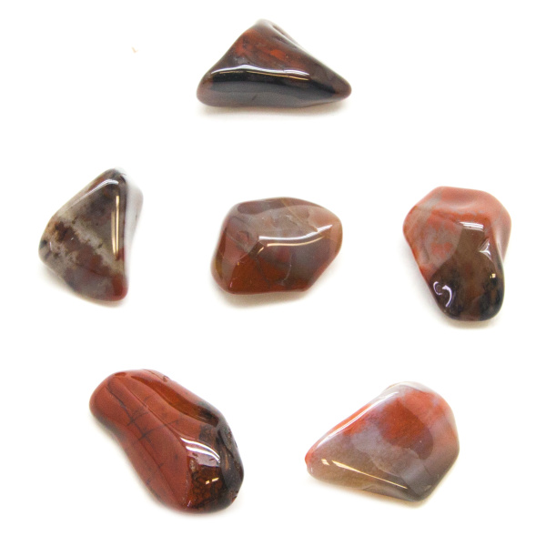 Petrified Wood Tumbled Stones (Sm.)-84951
