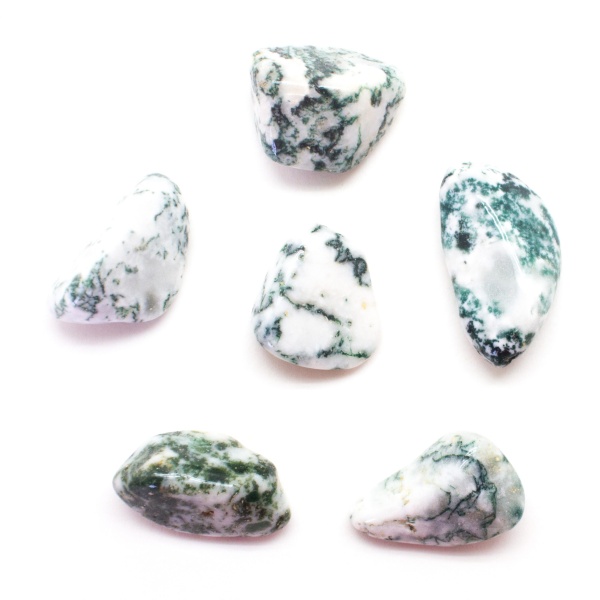 Moss Agate Tumbled Set (Medium)-0