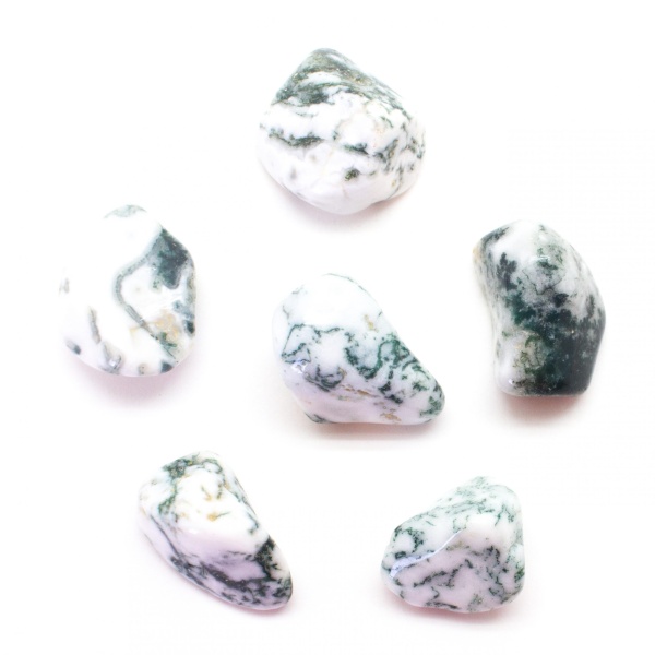 Moss Agate Tumbled Set (Medium)-78221