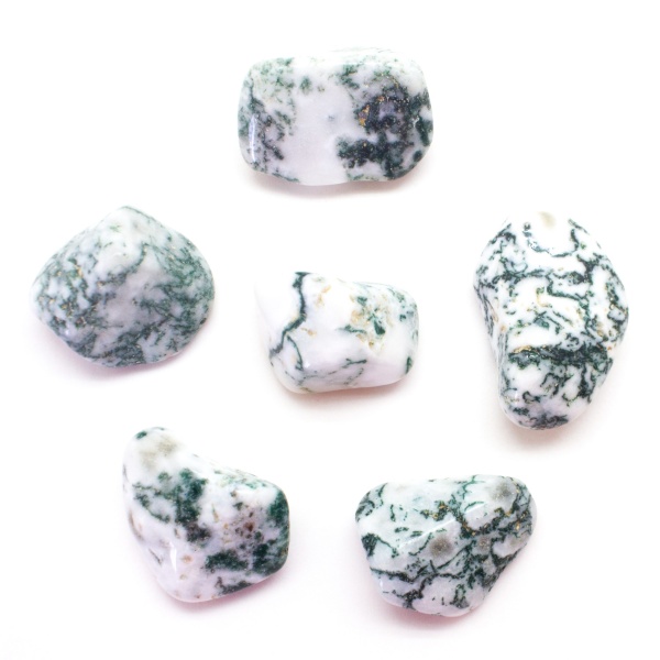 Moss Agate Tumbled Set (Medium)-78220