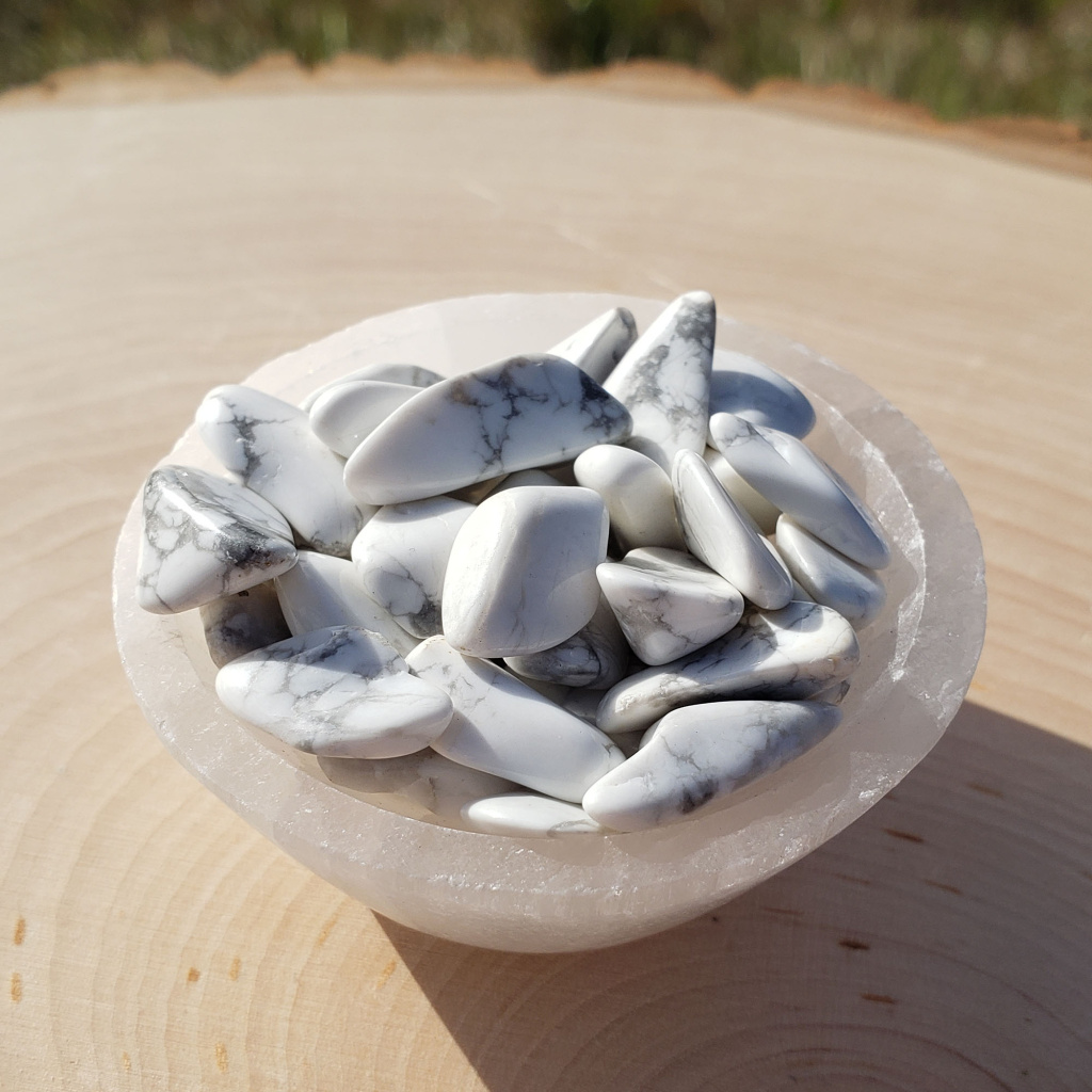 Howlite Tumbled Set (Large) - Crystal Vaults