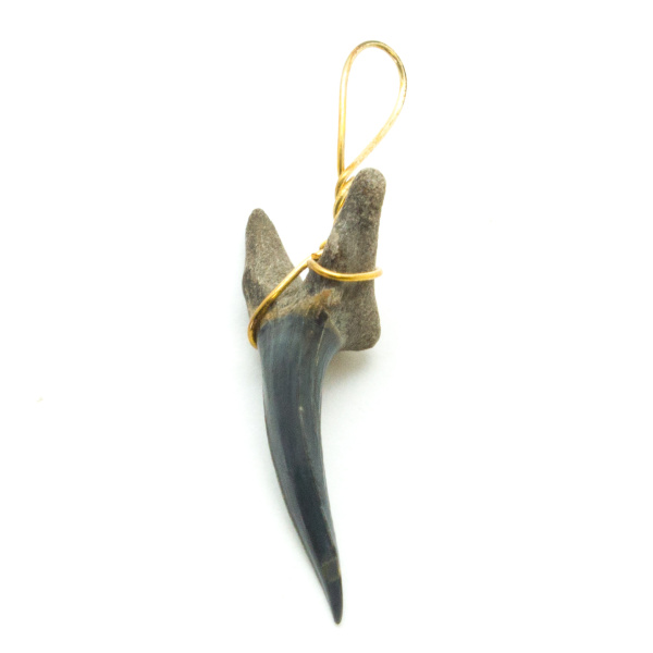 Shark Tooth Pendant(Small)-70361