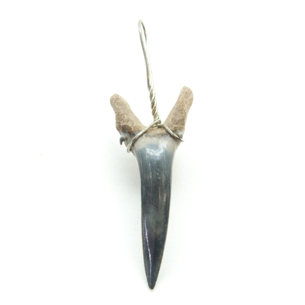 Shark Tooth Pendant(Small)-0