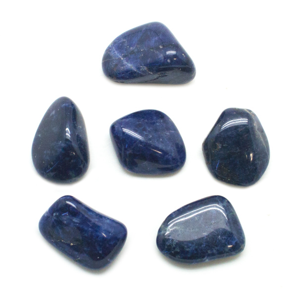 Sodalite Tumbled Stone Set (Large)-145710