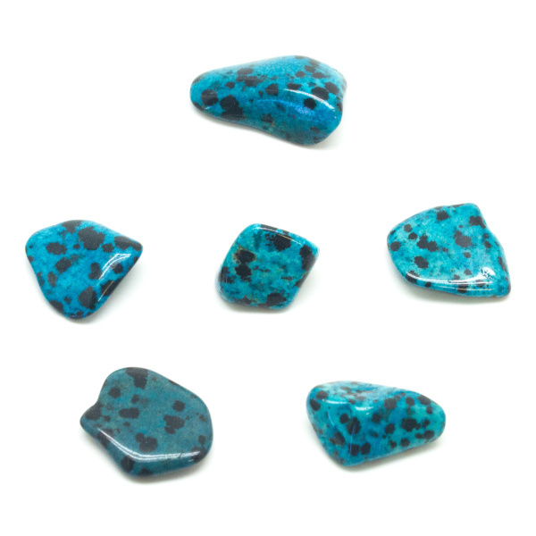 Blue Dalmatian Jasper Tumbled Set (Small)-102700