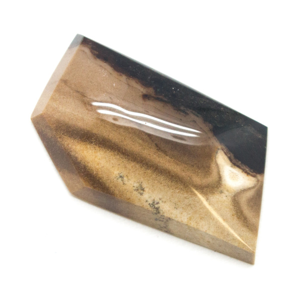 Biggs Jasper Cabochon-109489