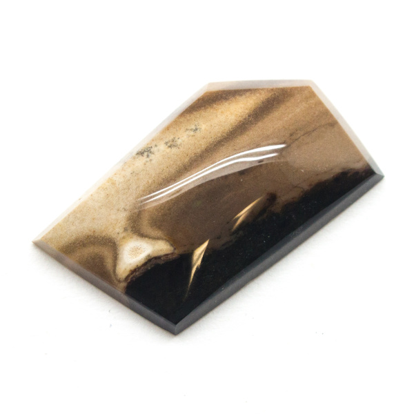 Biggs Jasper Cabochon-109488