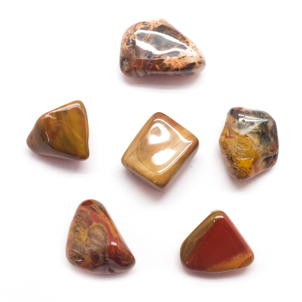 Petrified Wood Tumbled Set (Extra Large)-107674