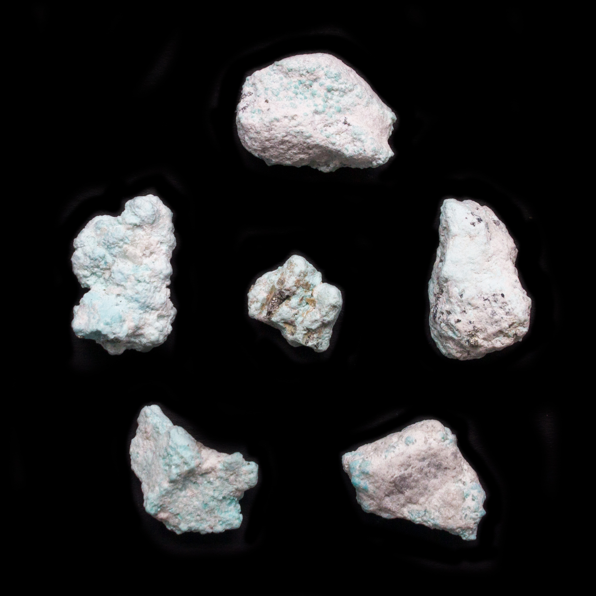 Campitos Turquoise Nuggets CTN1f2