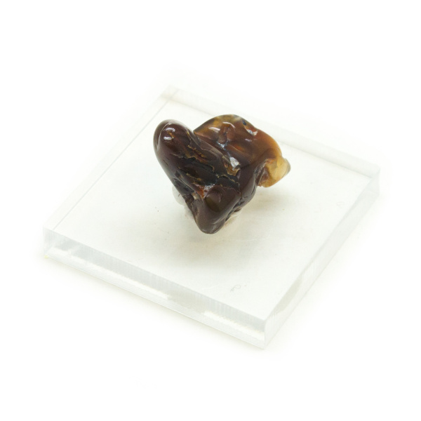 Fire Agate Specimen-141148