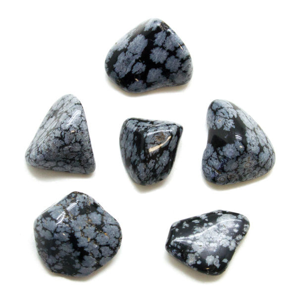 Snowflake Obsidian Tumbled Stone Set (Large)-147768