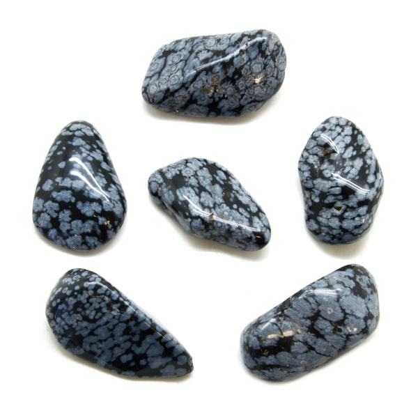 Snowflake Obsidian Tumbled Stone Set (Extra Large)-147773