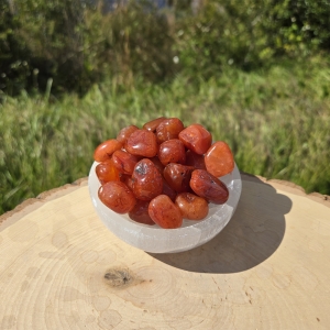 Carnelian Tumbled Set (Large)