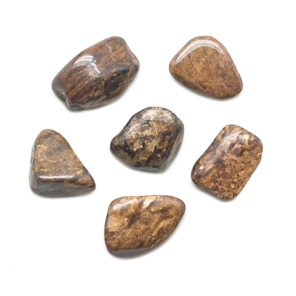 Bronzite Tumbled Stone Set (Medium)-0