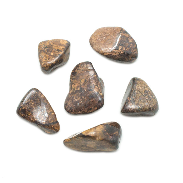 Bronzite Tumbled Stone Set (Medium)-145750
