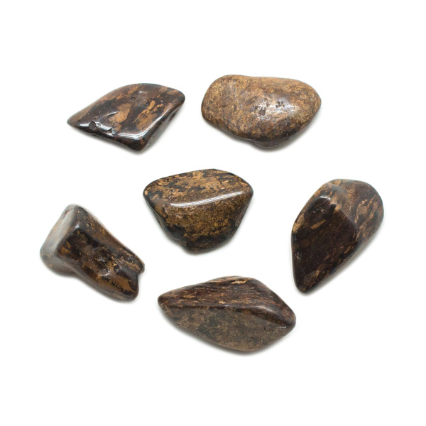Bronzite Tumbled Stone Set (Large)-0