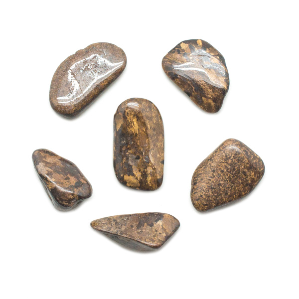 Bronzite Tumbled Stone Set (Large)-145755