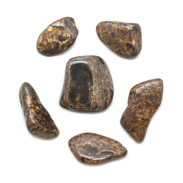 Bronzite Tumbled Stone Set (Large)-145756