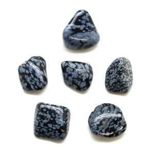 Snowflake Obsidian Tumbled Stone Set (Medium)-0