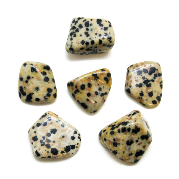 Dalmatian Tumbled Stone Set (Large)-0