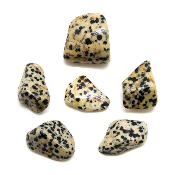 Dalmatian Tumbled Stone Set (Large)-148847