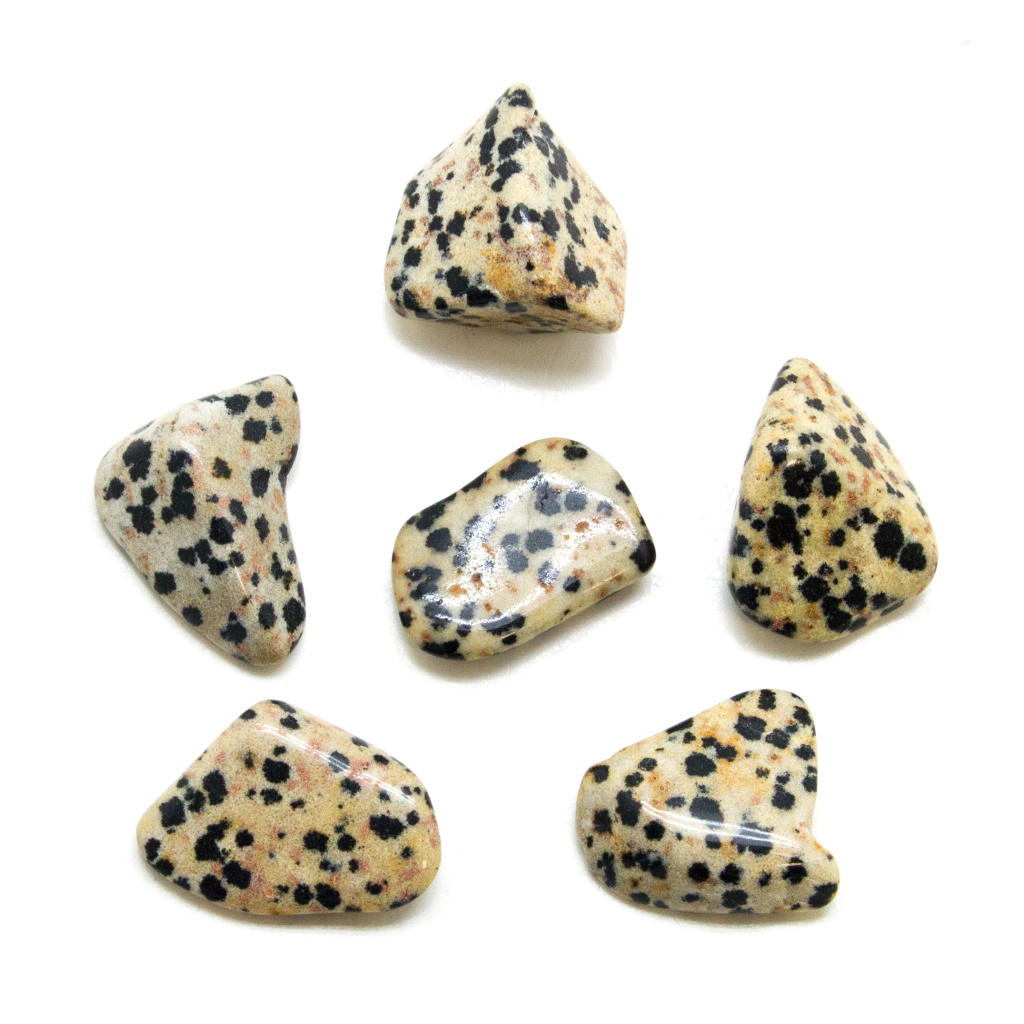 Dalmatian Jasper Tumbled Stone Set (Large) Crystal Vaults