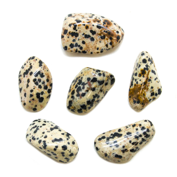 Dalmatian Tumbled Stone Set (Extra Large)-0