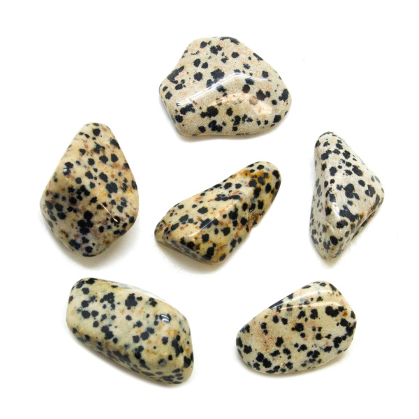 Dalmatian Tumbled Stone Set (Extra Large)-148853