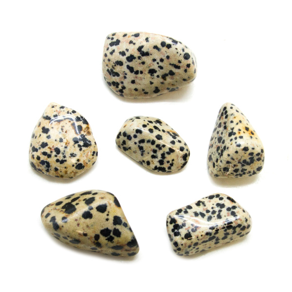 Dalmatian Tumbled Stone Set (Extra Large)-148854