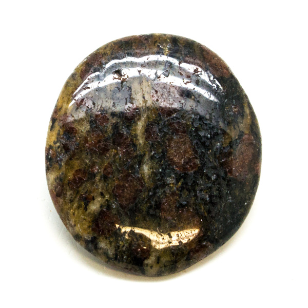 Garnet in Biotite Palm Stone (Medium)-149126