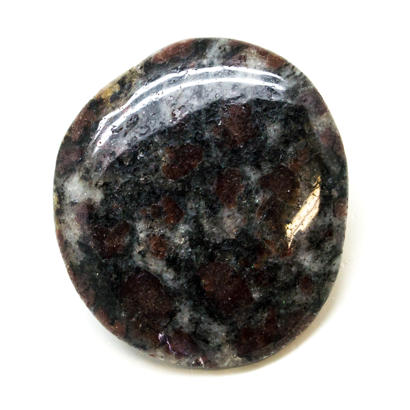 Garnet in Biotite Palm Stone (Medium)-149127