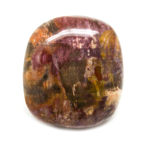 Petrified Wood Aura Stone (Small)-0
