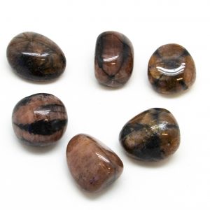 Chiastolite Tumbled Set (Extra Large)-153693