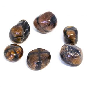 Chiastolite Tumbled Set (Large)-0