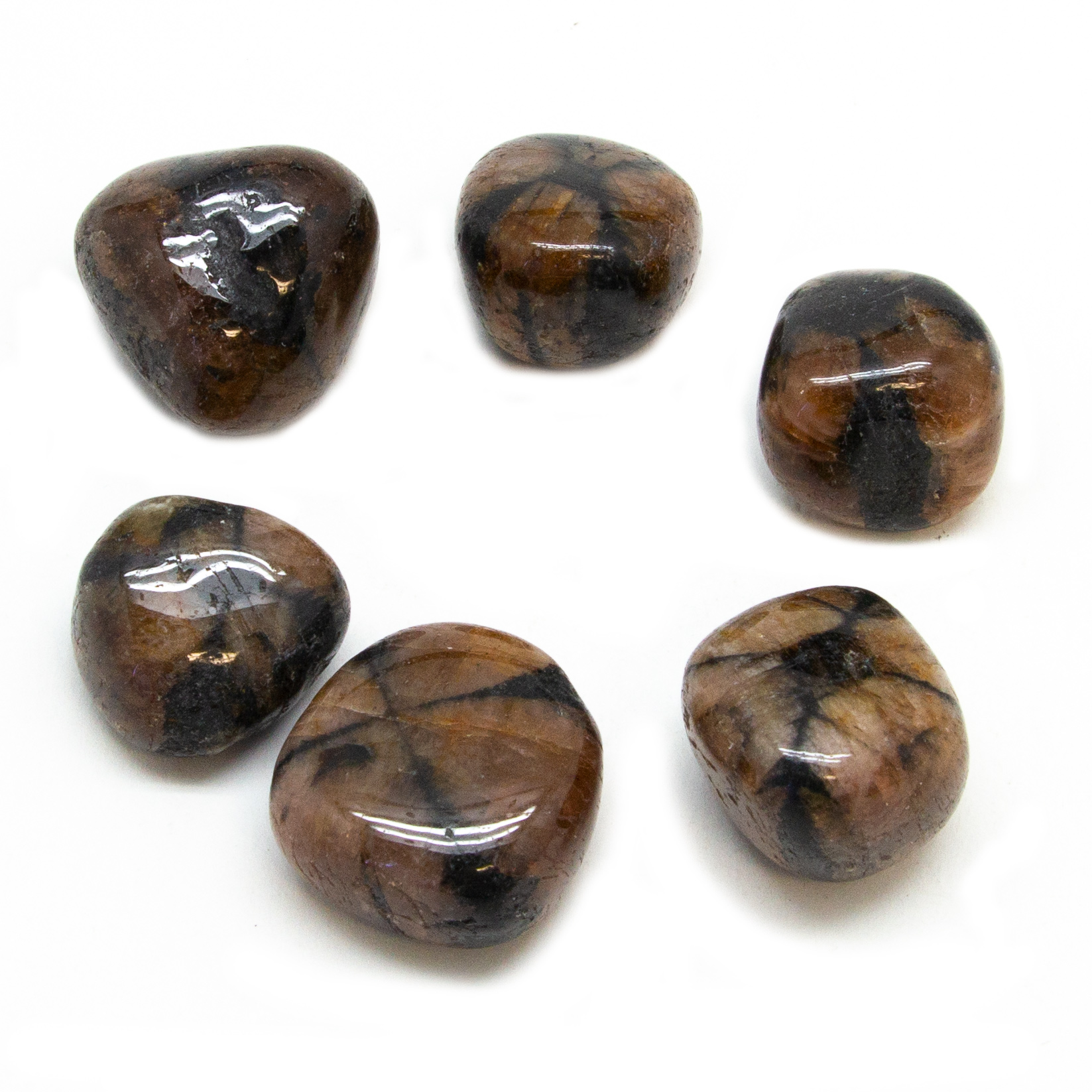 Chiastolite Tumbled Set (Large)-155592