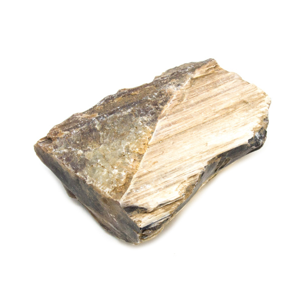 Petrified Wood Rough Crystal-168859