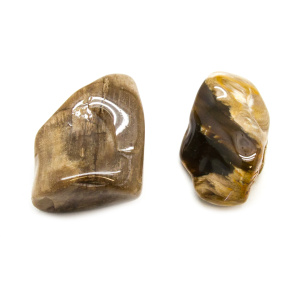 Peanut Wood Aura Stone Pair (Medium)-0